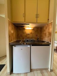 Appartements StudiosMichel apt 17 balcon thermes 400m a pied : Appartement 1 Chambre