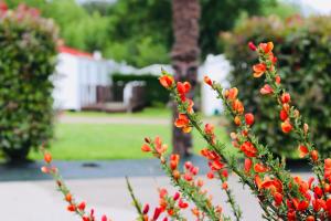 Camping les Mancellieres