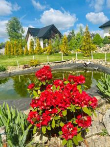 Domek caloroczny Panorama Swietokrzyska