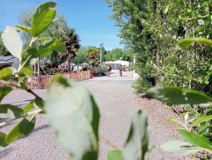 Campings Camping les Mancellieres : photos des chambres