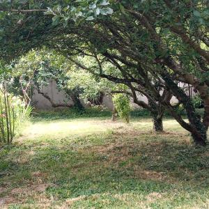 Maison à la campagne - Ploërmel