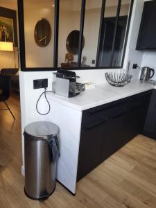 Appartements Black and White - Joli appart a Tours : photos des chambres