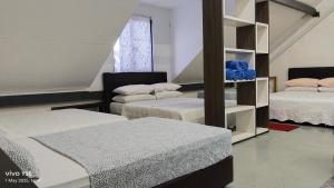 ROOMMATE On The ATTIC