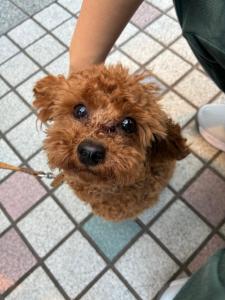 関東最大級温泉施設徒歩3分共有スペース有