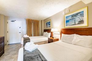 Oceanview Condo Pool Steps to Beach Hot Tubs