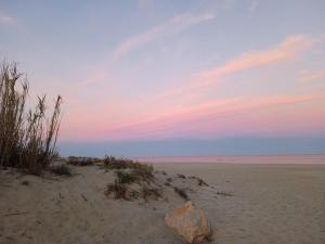 T2 climatisé à Canet Plage