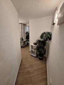 Tra I Normanni E Cattedrale Apartament