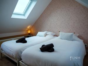 Appartements Charmant Duplex Plougonvelin : photos des chambres