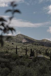 Viatzo Villas - Eclectic Villas with Heated Saltwater Pools