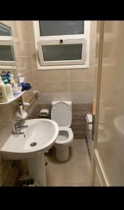 cozy modern apartments