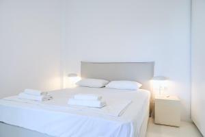 Senzas Cycladic Home in Marpissa , Paros