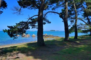 Maisons de vacances Belle maison vue sur mer : photos des chambres