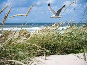 Cozy apartment for 8 persons in Knokke-Heist