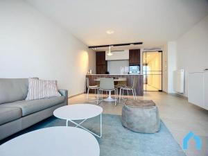 Apartment in Belgium near the Seaside