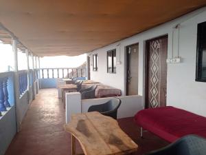 Oasis Arambol