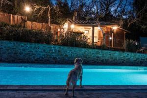 Le Case Gialle Resort