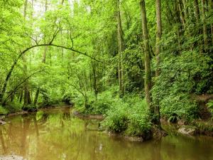 Gorgeous Apartment in Bohon with Garden Furniture and BBQ