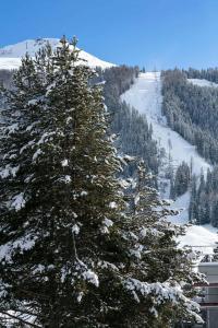 Modern Alpine Stay Terrace Central Davos