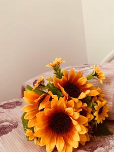 Appartamenti Il Sole Parghelia