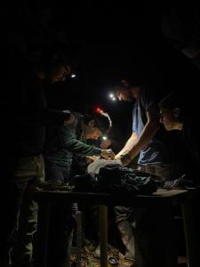 Secret Forest Station