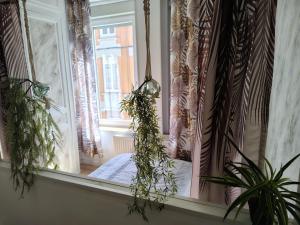 Appartements Appartement au premier etage : photos des chambres