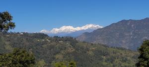 Silent Echo Campsite