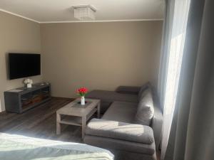 Apartmány Rosijo