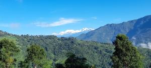 Silent Echo Campsite