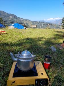 Silent Echo Campsite