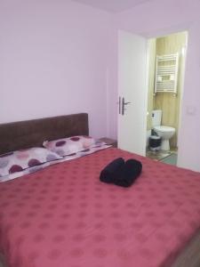 Vila Roberta Breaza ,BV