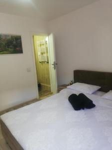 Vila Roberta Breaza ,BV