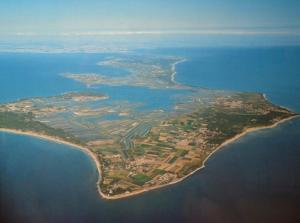 Villas Chai des tortues - Ile de re - 250 m de la plage - Rivedoux plage : photos des chambres