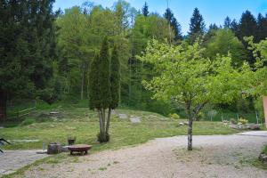 Grajski kamp - pitch your own tent 