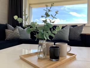 Apartament WidokLove - Przy Termach, Parku z widokiem na śnieżkę