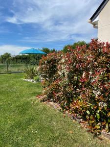 Maisons de vacances Maison les coquelicots : photos des chambres