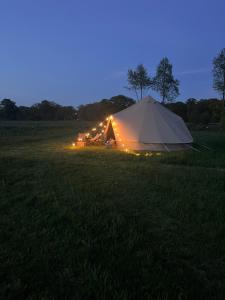 Boutique tent Pruum op een unieke plek in het groen met luxe bed