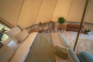 Boutique tent Pruum op een unieke plek in het groen met luxe bed