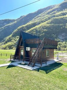 Komarnica Forest Owl