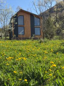 Cabana Magic Pine Nest