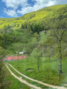 Cabana Magic Pine Nest