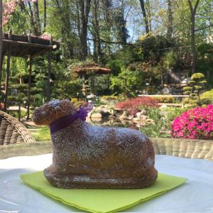 Maisons d'hotes Le Jardin De La Tuilerie Alsace : photos des chambres