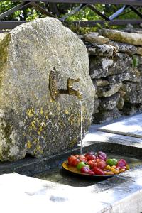 Villas La Borie Oubliee : photos des chambres