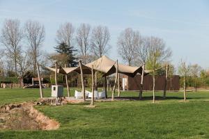 De Eend - Tiny house in de Zeeuwse Natuur