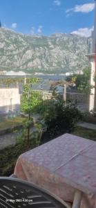 Cute studio with garden and terrace,by the sea