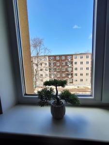 Comfortable Apartment Gerbera Tallinn