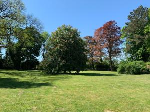 B&B / Chambres d'hotes Chateau du Mont de Guny : photos des chambres