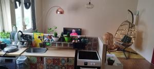 Stylish and Cute Appartment