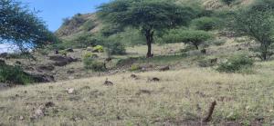 Eagle Nest lake Natron Guest House