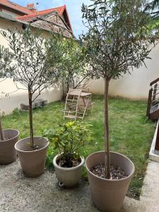 Studio 29 m2 proche La Défense et Arena