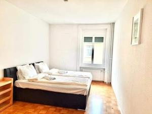 Spacious 3-Room Flat in Zurich City Center KONR